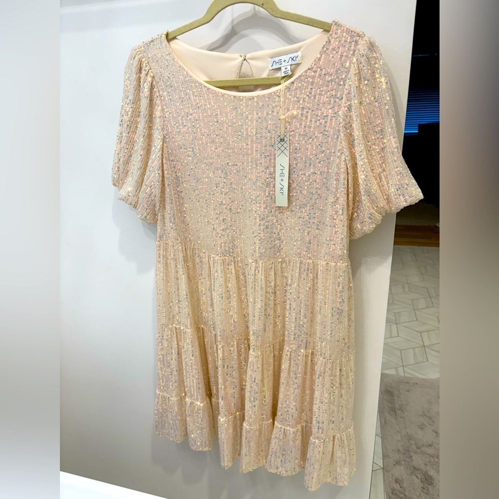 Sequined Dress- maternity